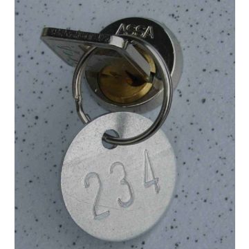 Nummerplaatje met sleutelring (genummerd)